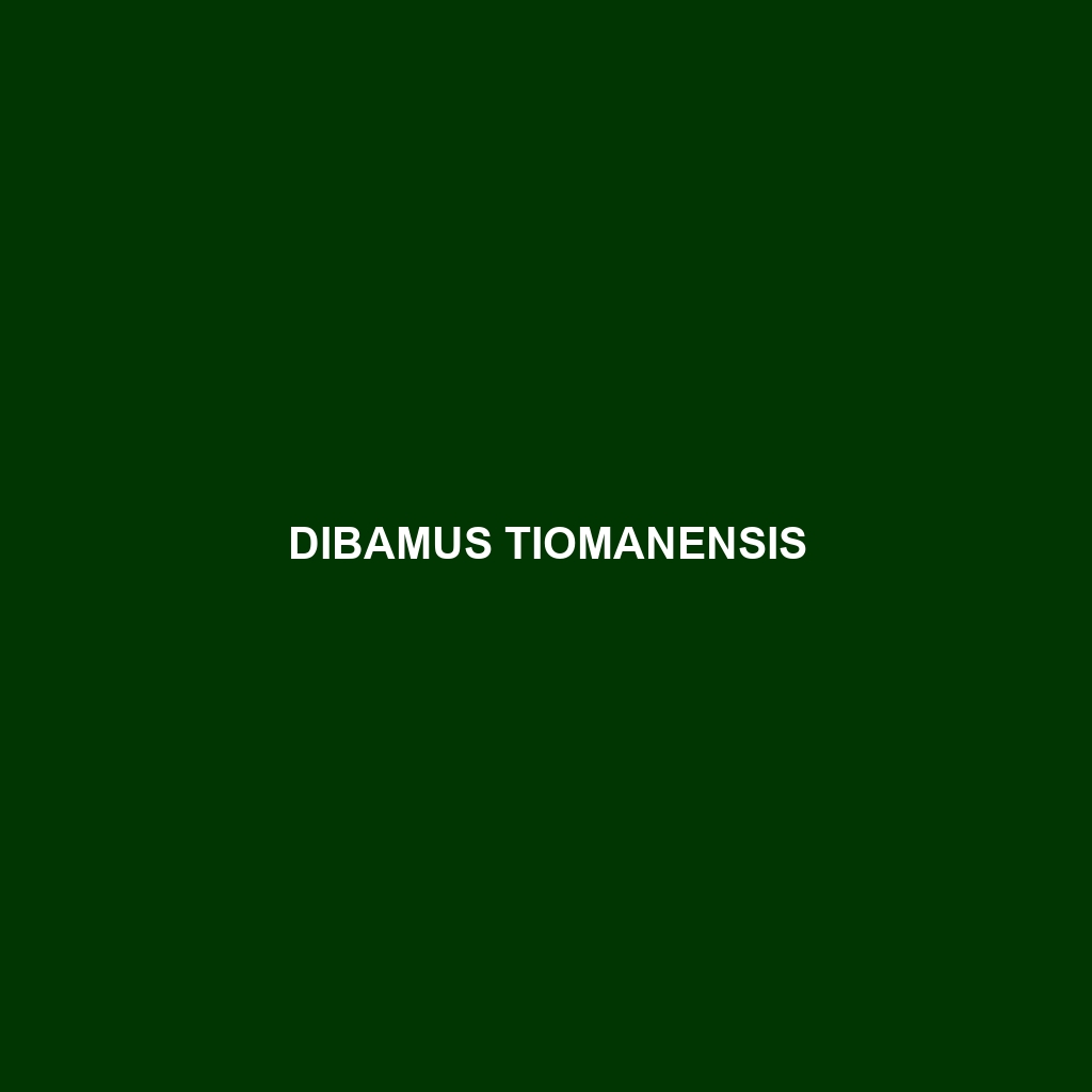 Dibamus tiomanensis