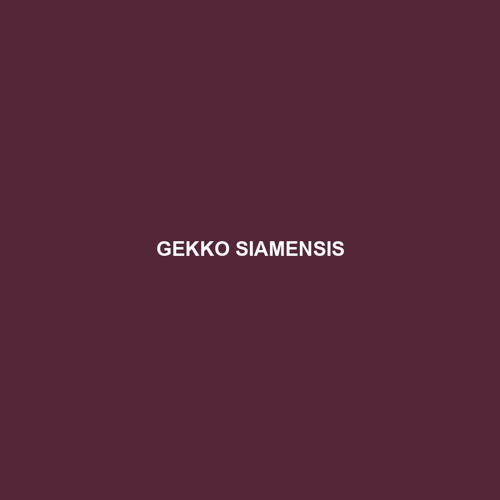 Gekko siamensis