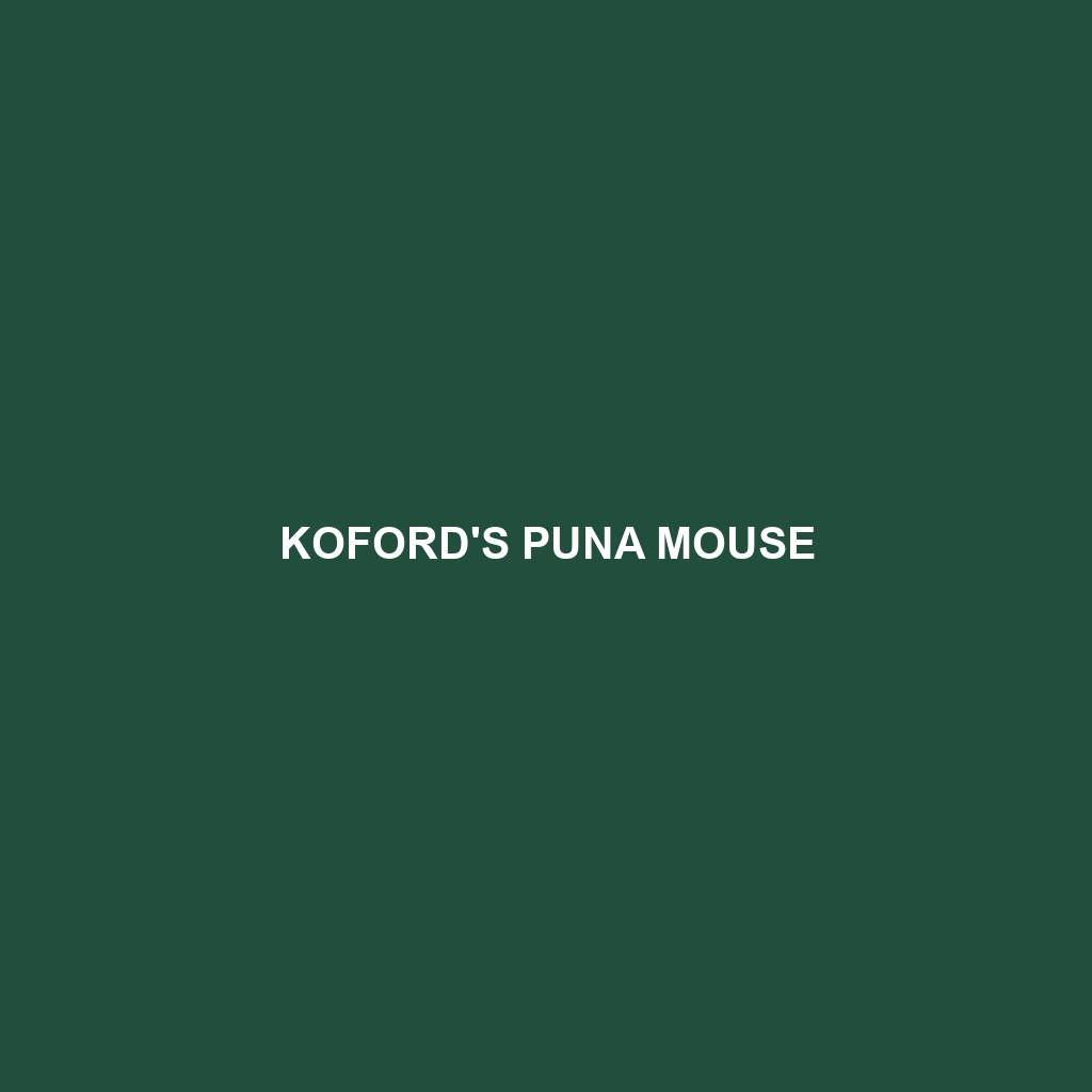 Koford's Puna Mouse