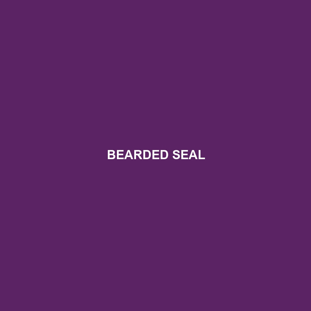 Bearded Seal