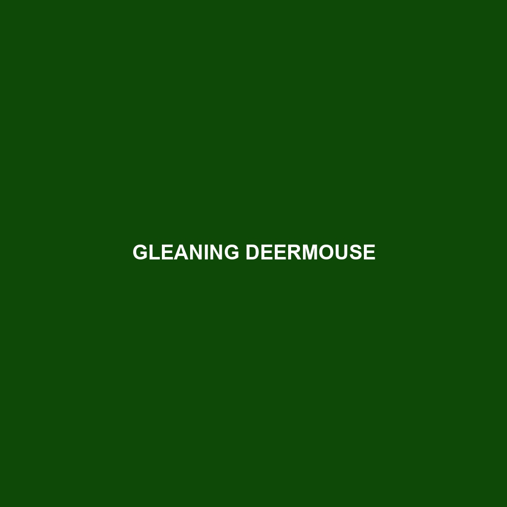 Gleaning Deermouse