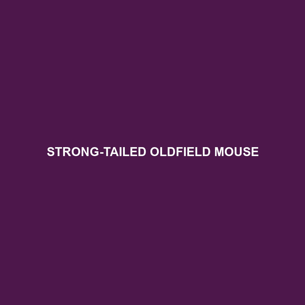 Strong-tailed Oldfield Mouse