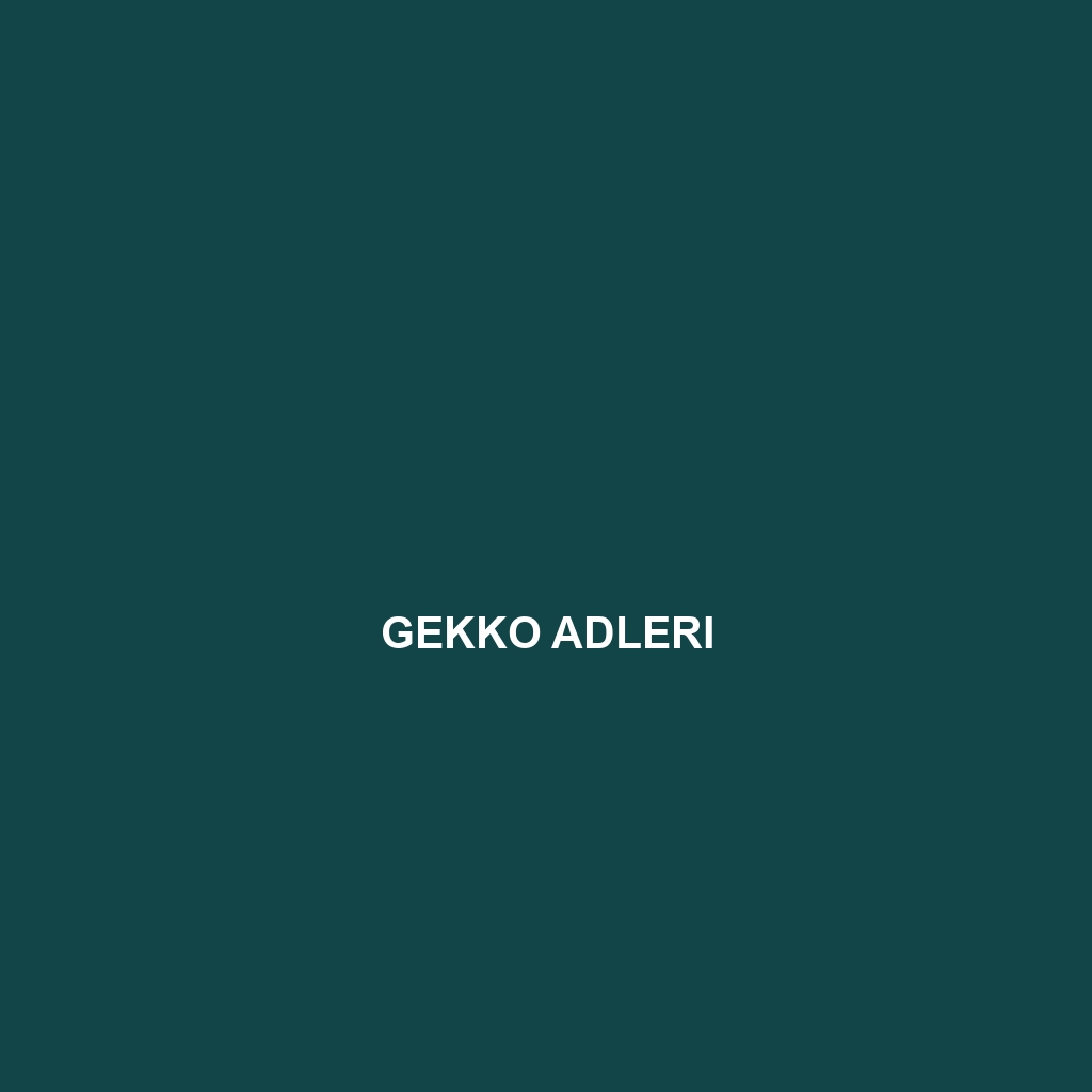 Gekko adleri