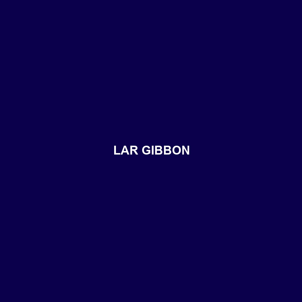 Lar Gibbon