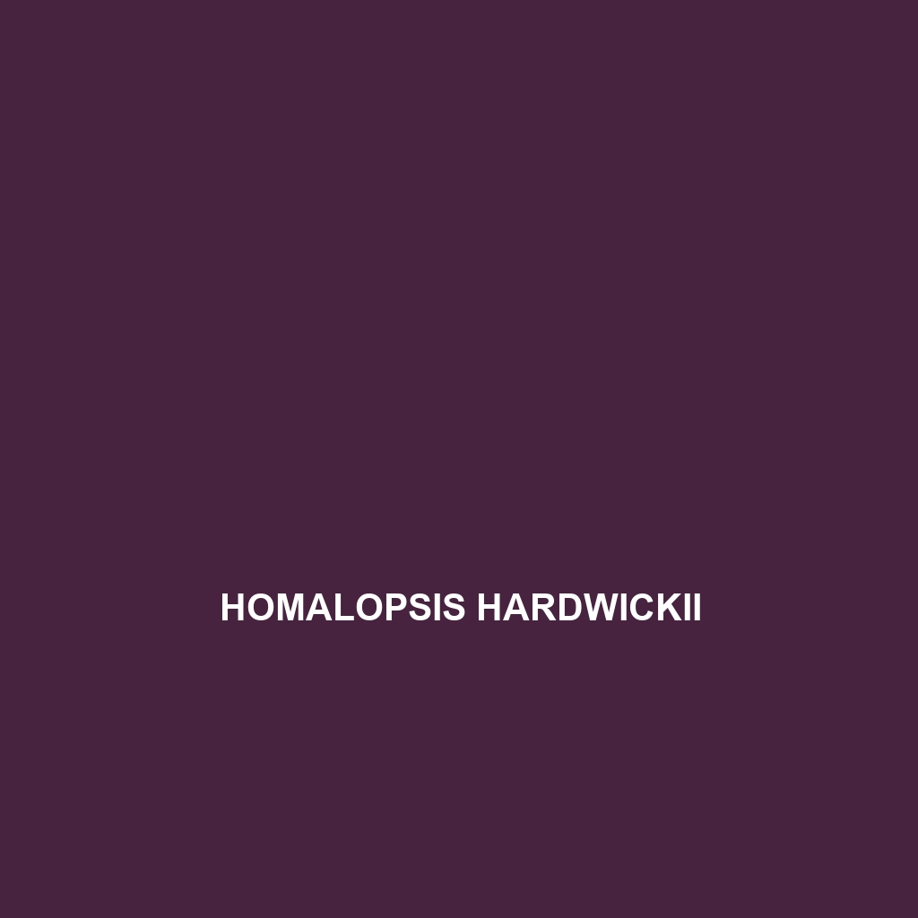 Homalopsis hardwickii