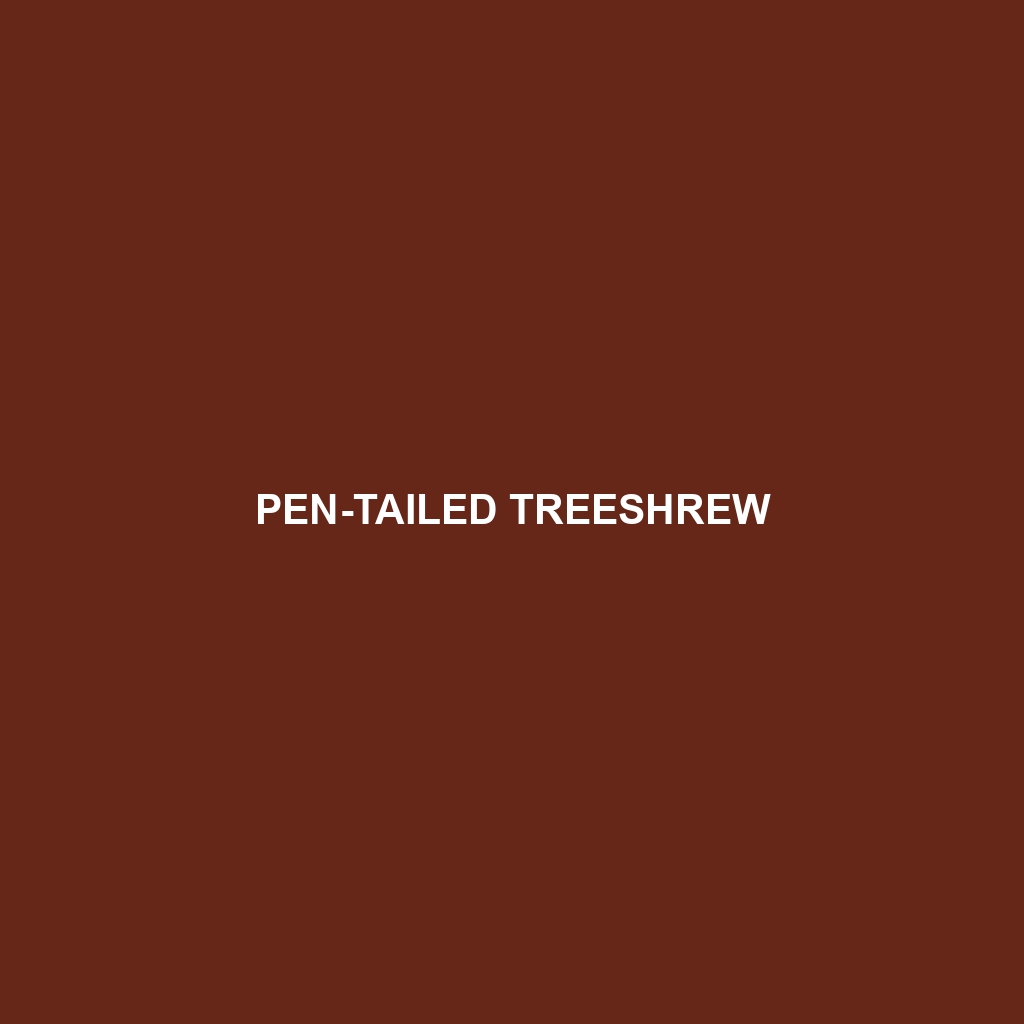 Pen-tailed Treeshrew