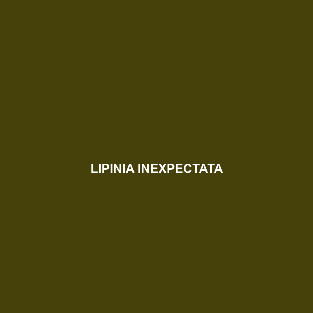 Lipinia inexpectata