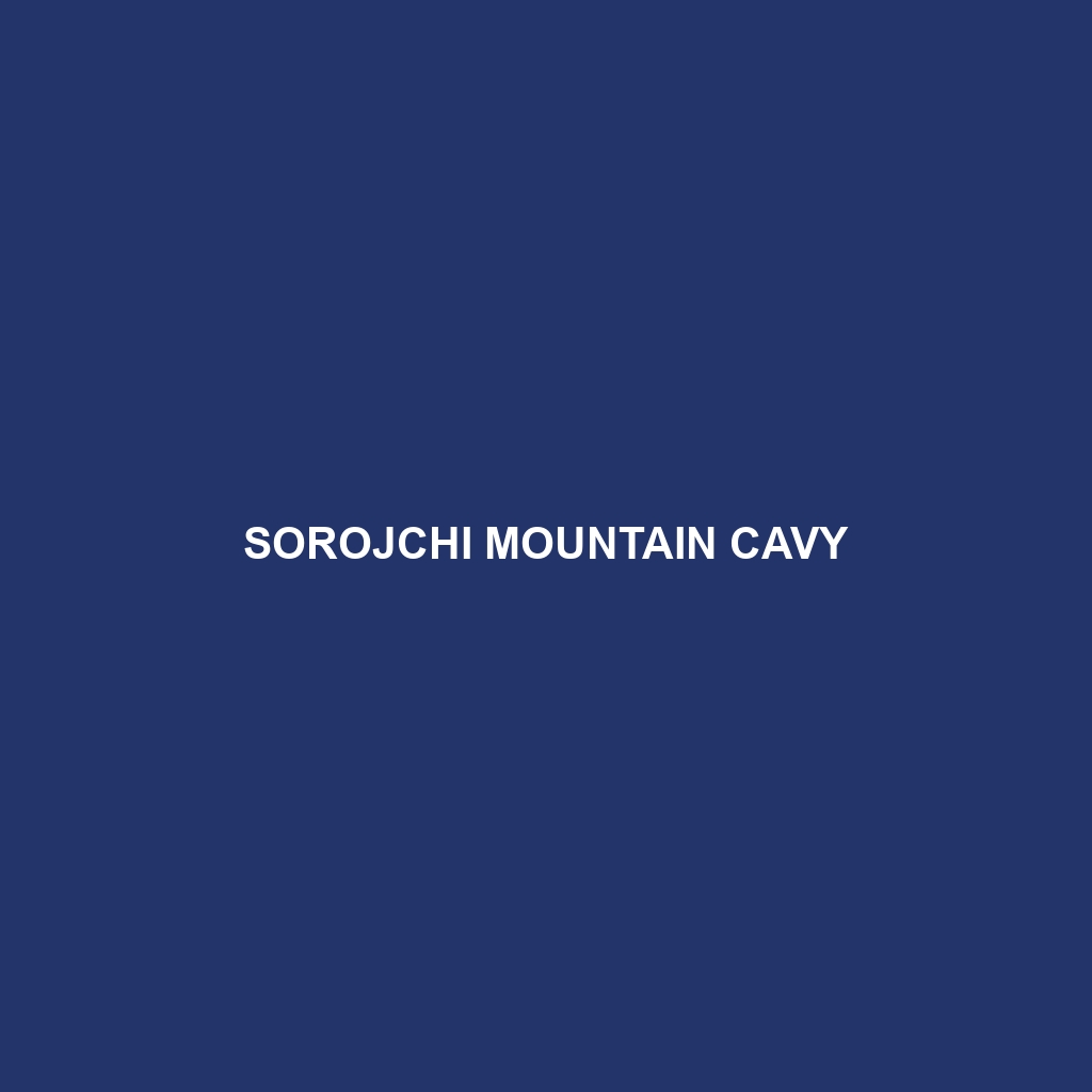 Sorojchi Mountain Cavy