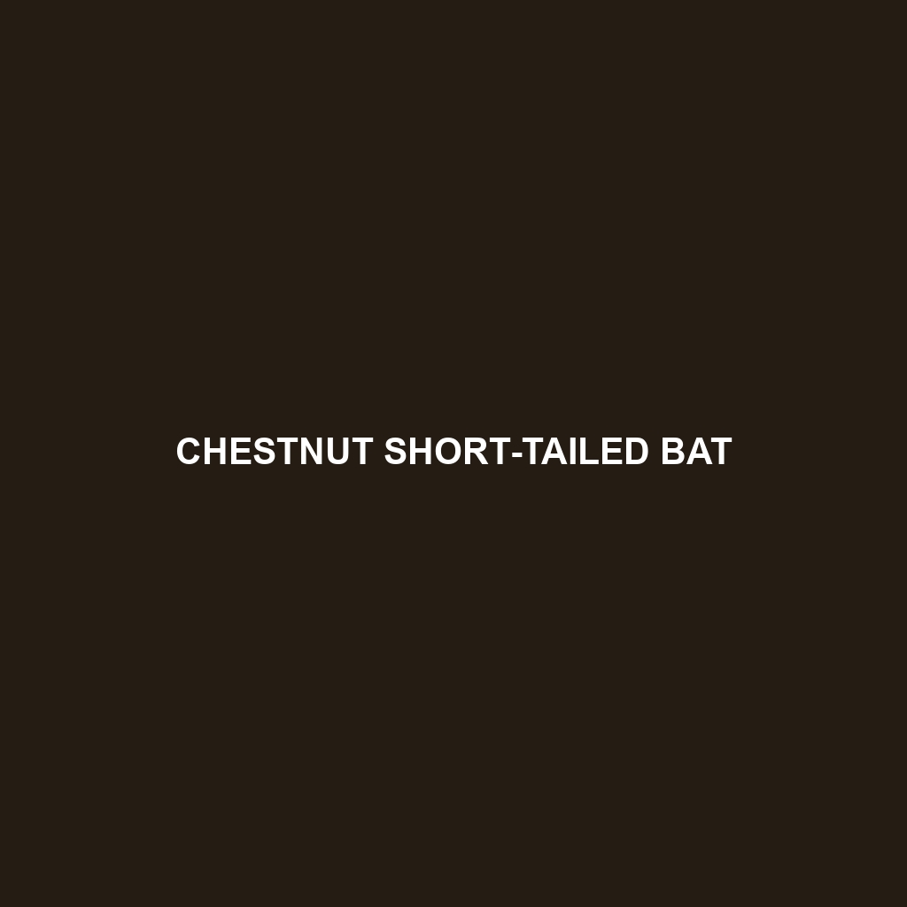 Chestnut Short-tailed Bat