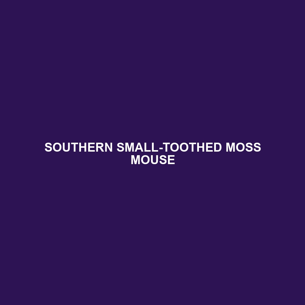 Southern Small-toothed Moss Mouse