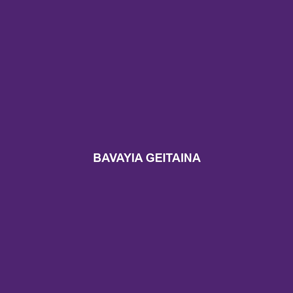 Bavayia geitaina