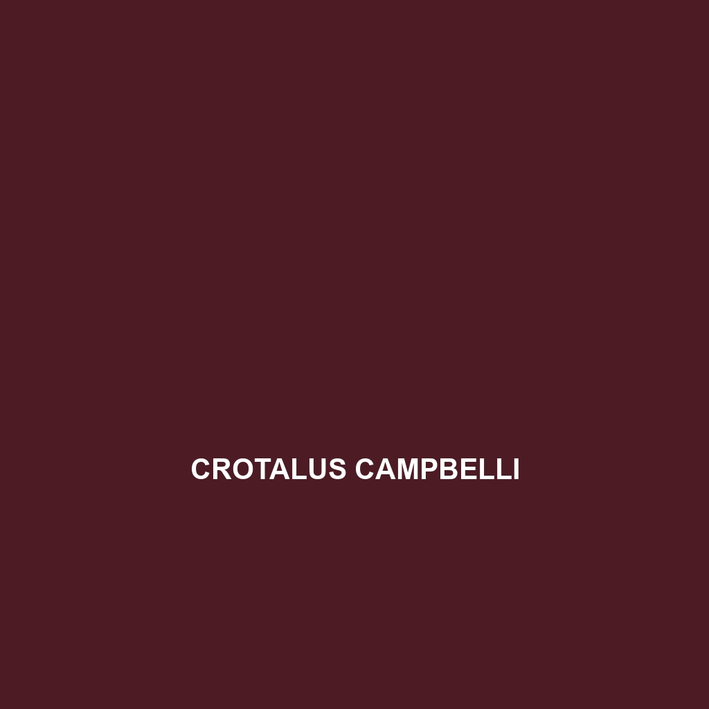 Crotalus campbelli