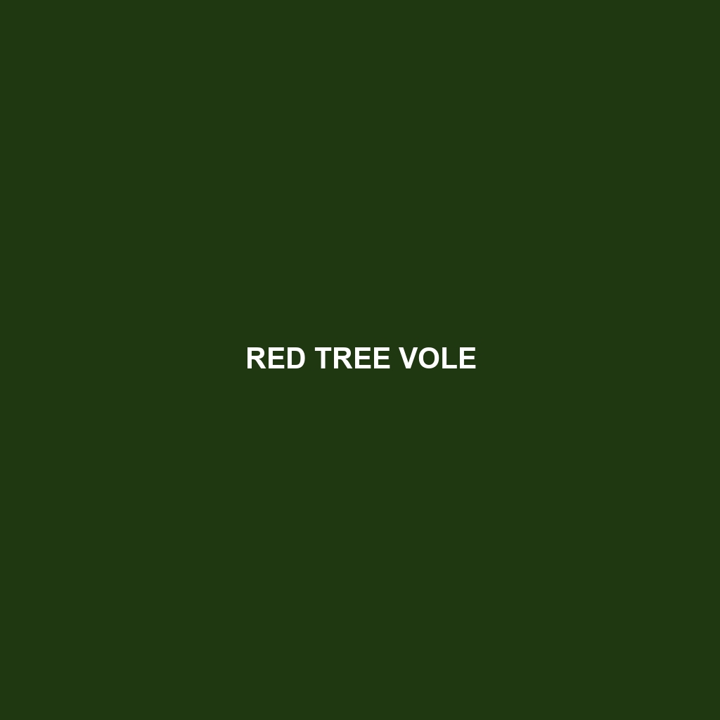 Red Tree Vole