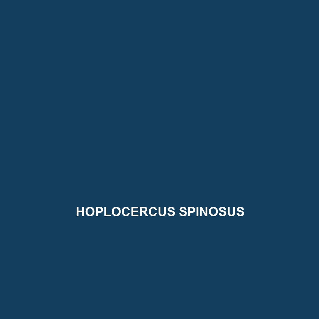 Hoplocercus spinosus