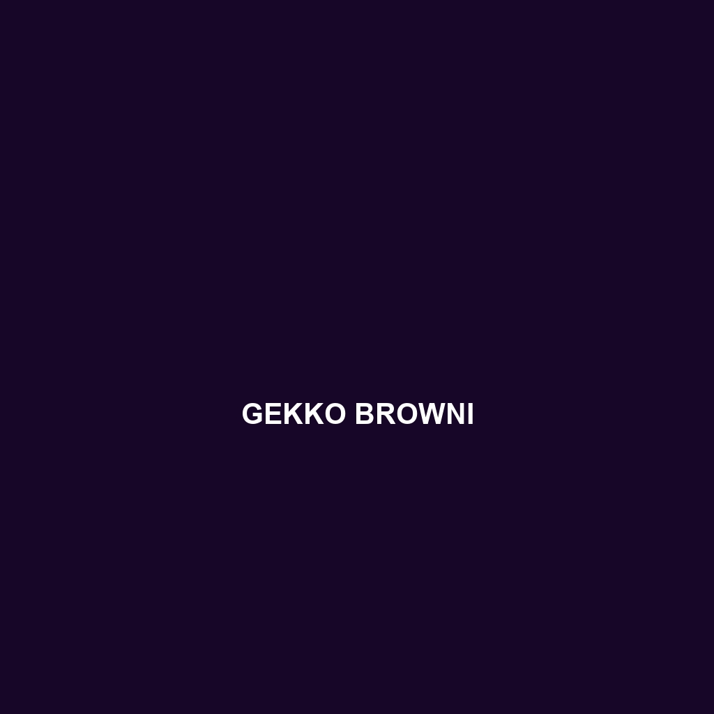 Gekko browni