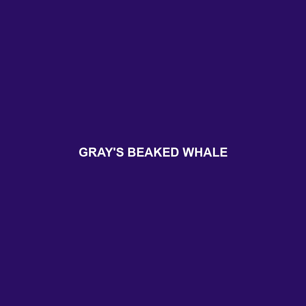 Gray's Beaked Whale