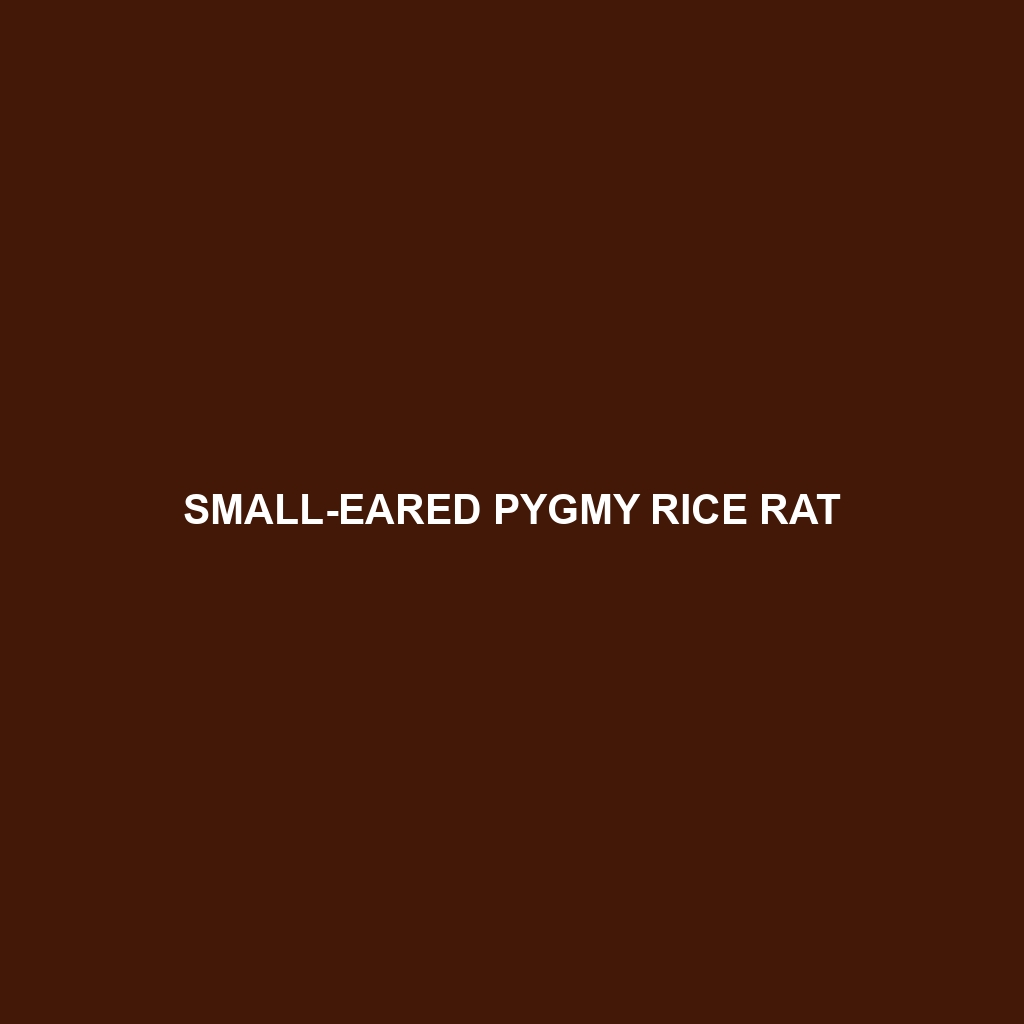 Small-eared Pygmy Rice Rat