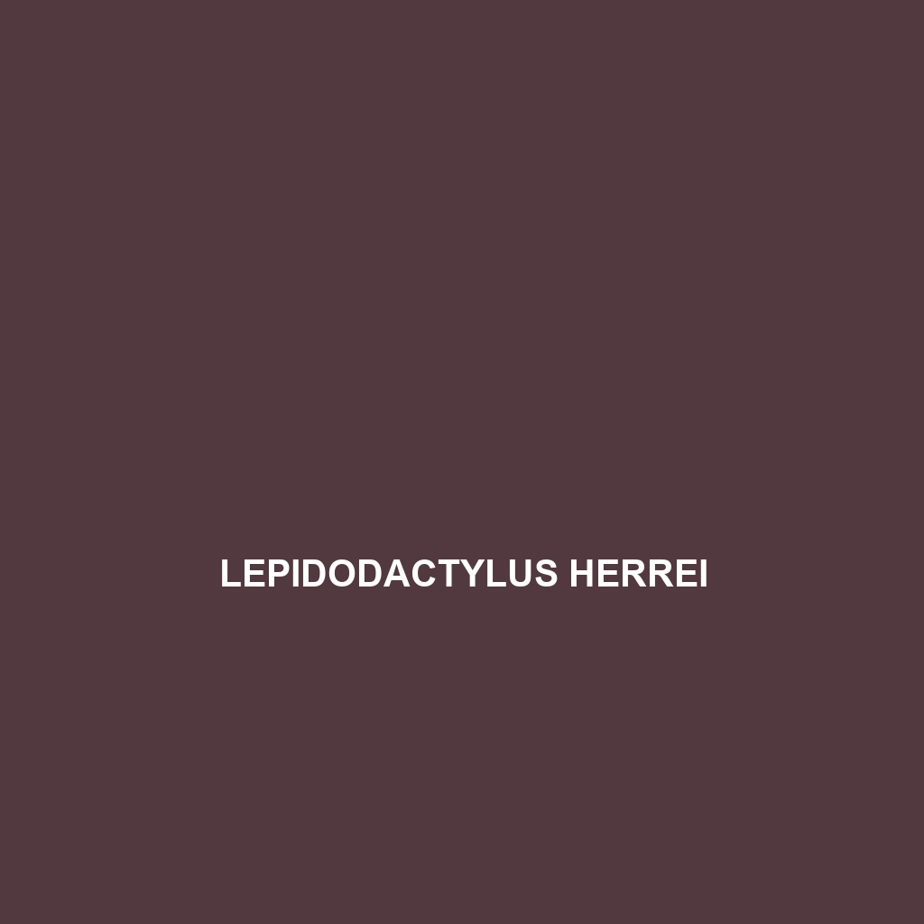 Lepidodactylus herrei