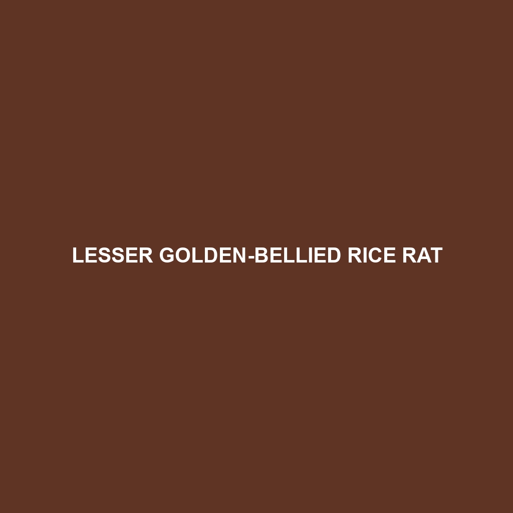 Lesser Golden-bellied Rice Rat