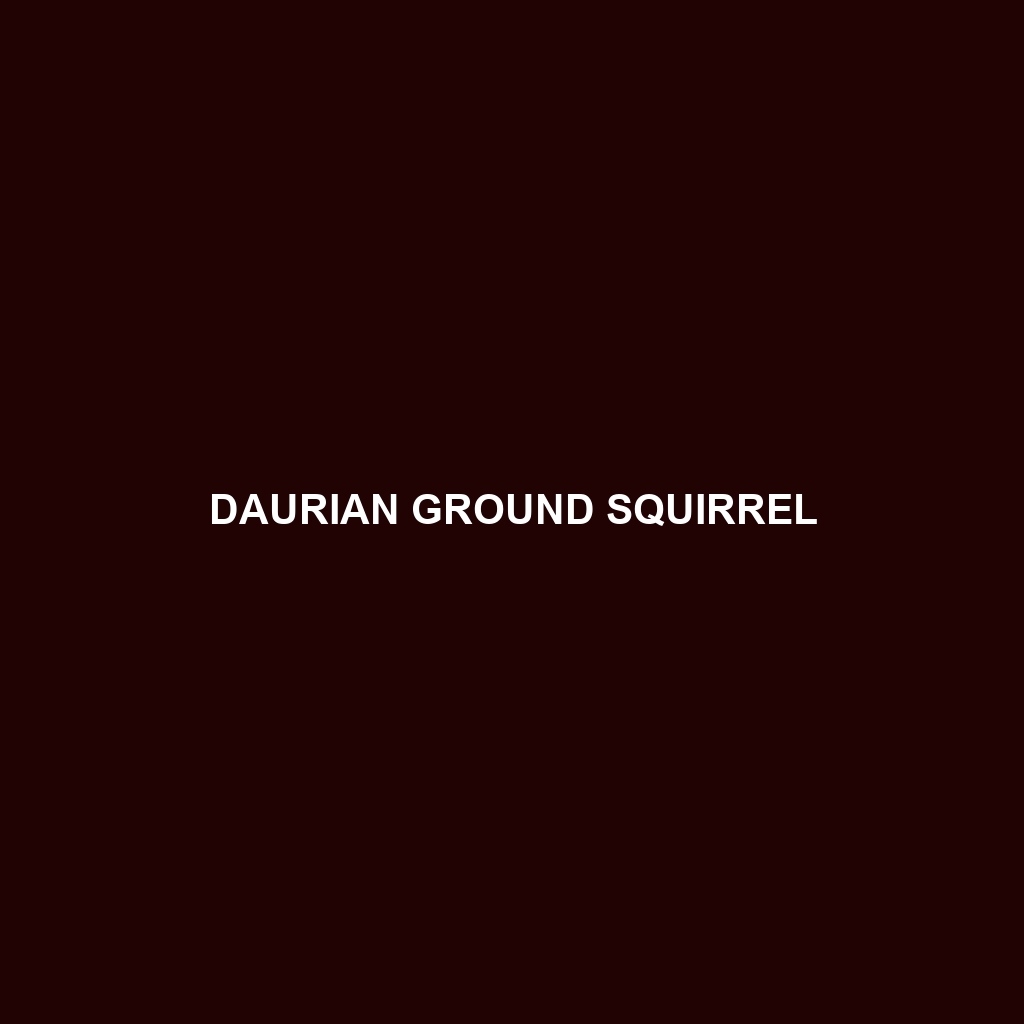 Daurian Ground Squirrel