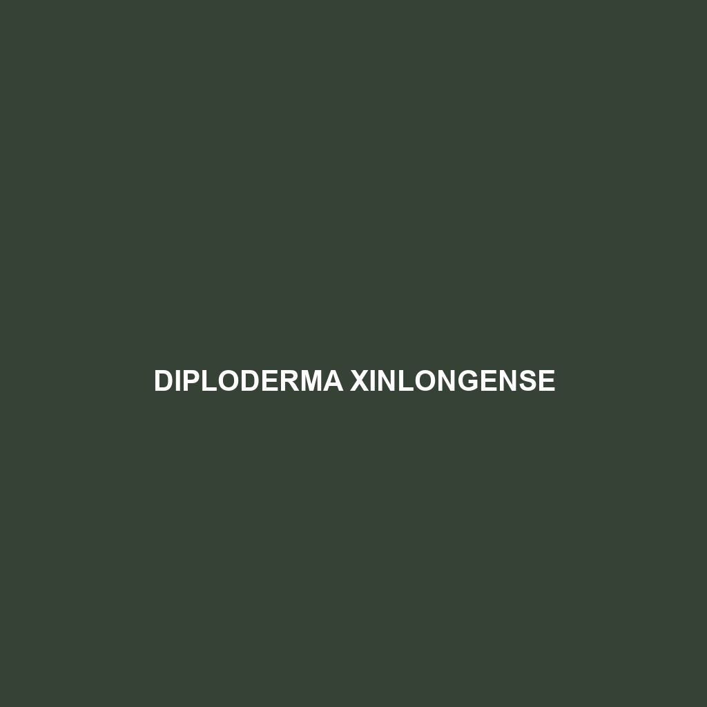 Diploderma xinlongense