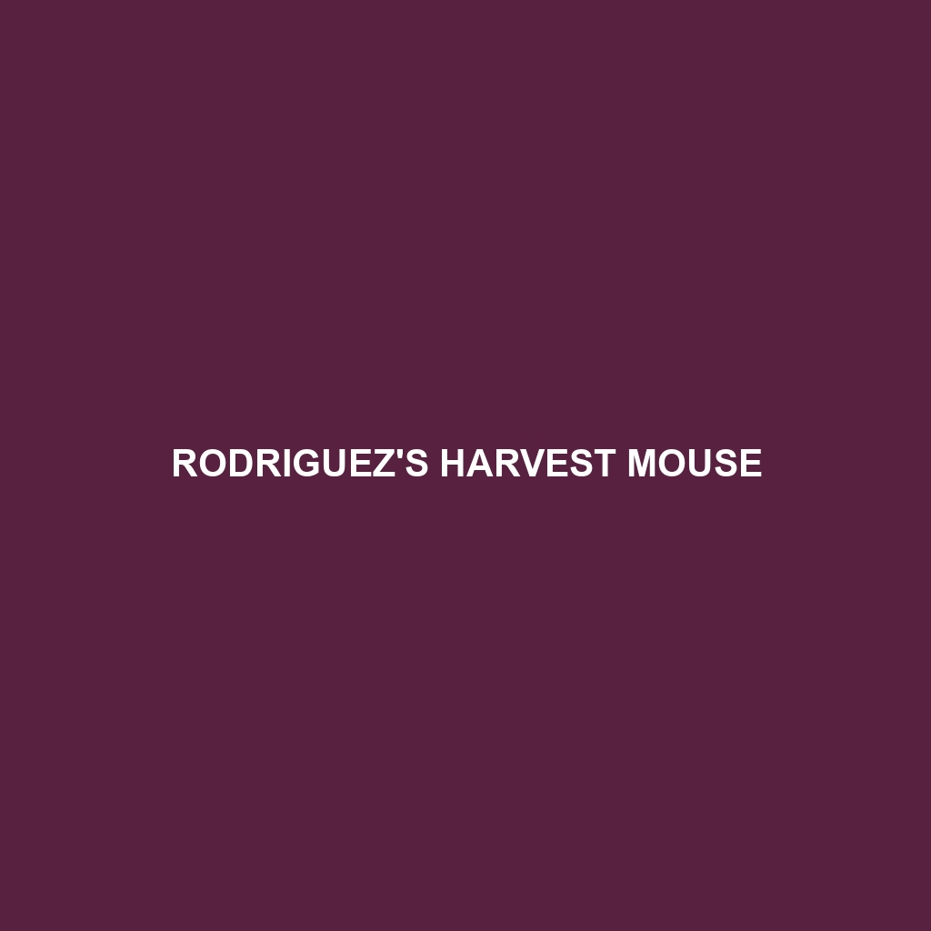 Rodriguez's Harvest Mouse