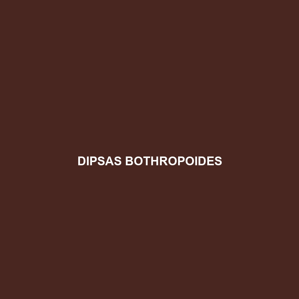 Dipsas bobridgelyi