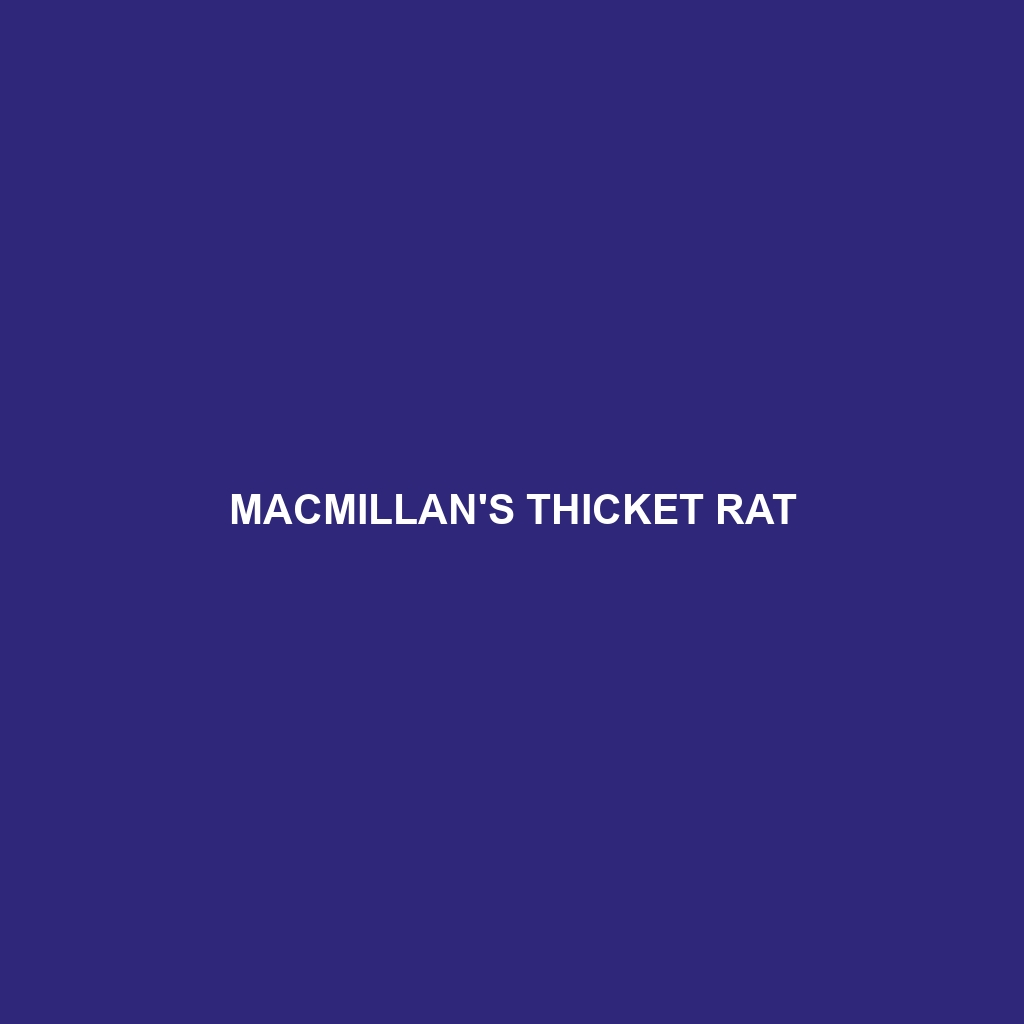 Macmillan's Thicket Rat