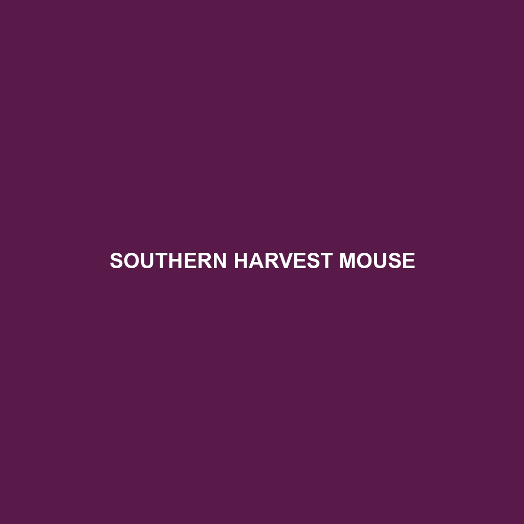 Southern Harvest Mouse