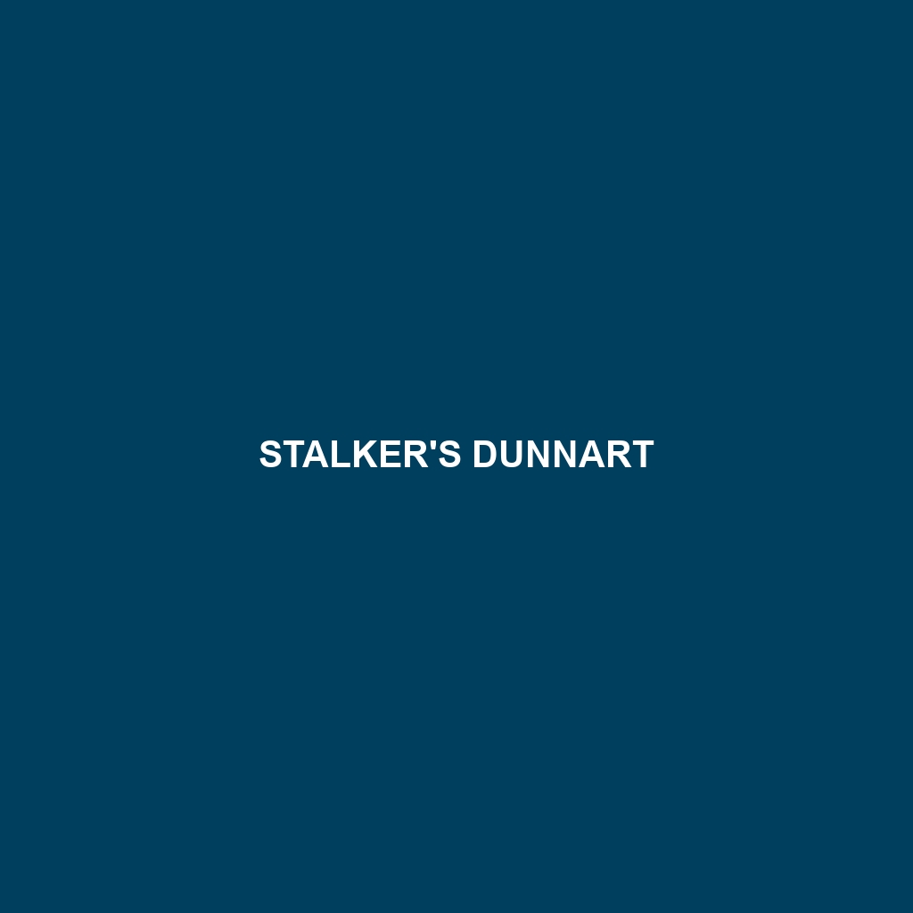 Stalker's Dunnart