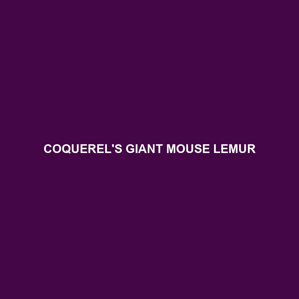 Coquerel's Giant Mouse Lemur