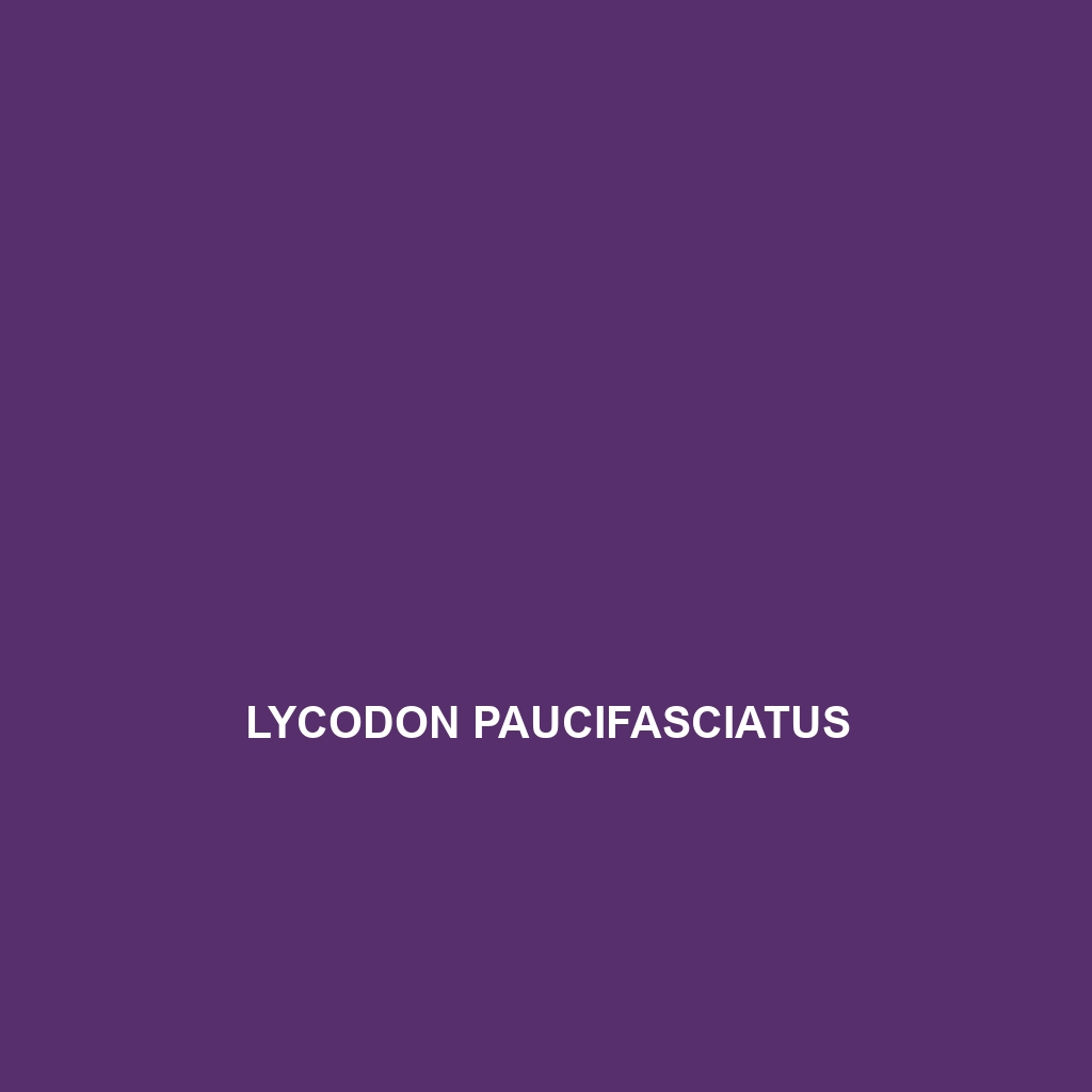 Lycodon paucifasciatus