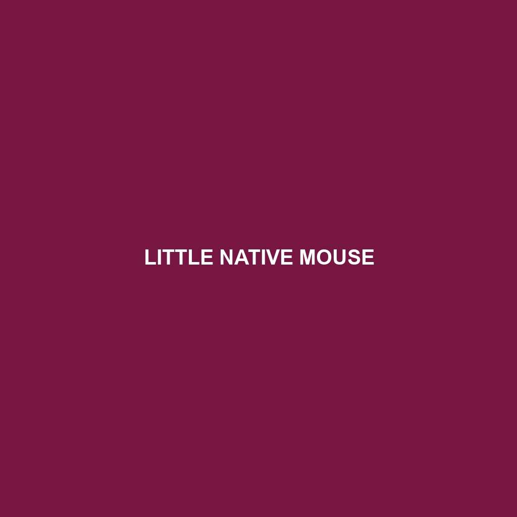 Little Native Mouse