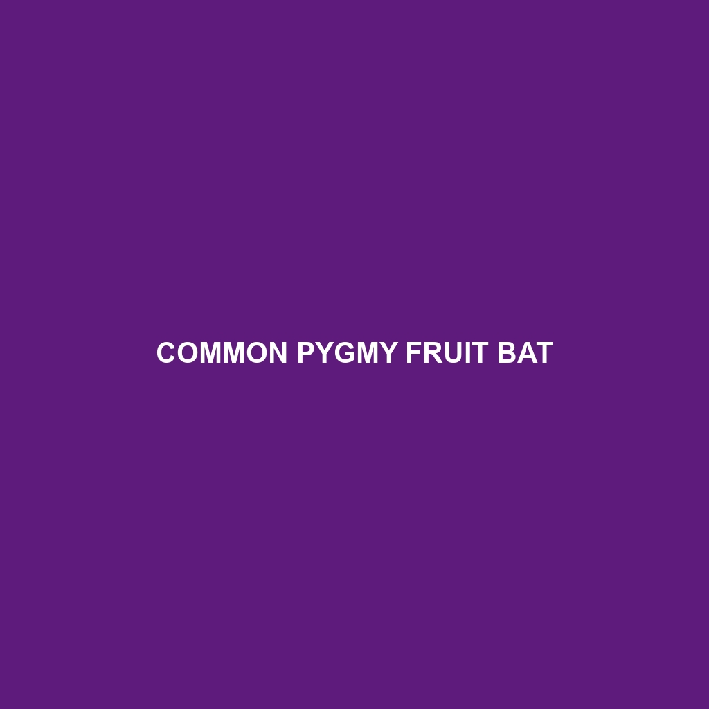 Common Pygmy Fruit Bat