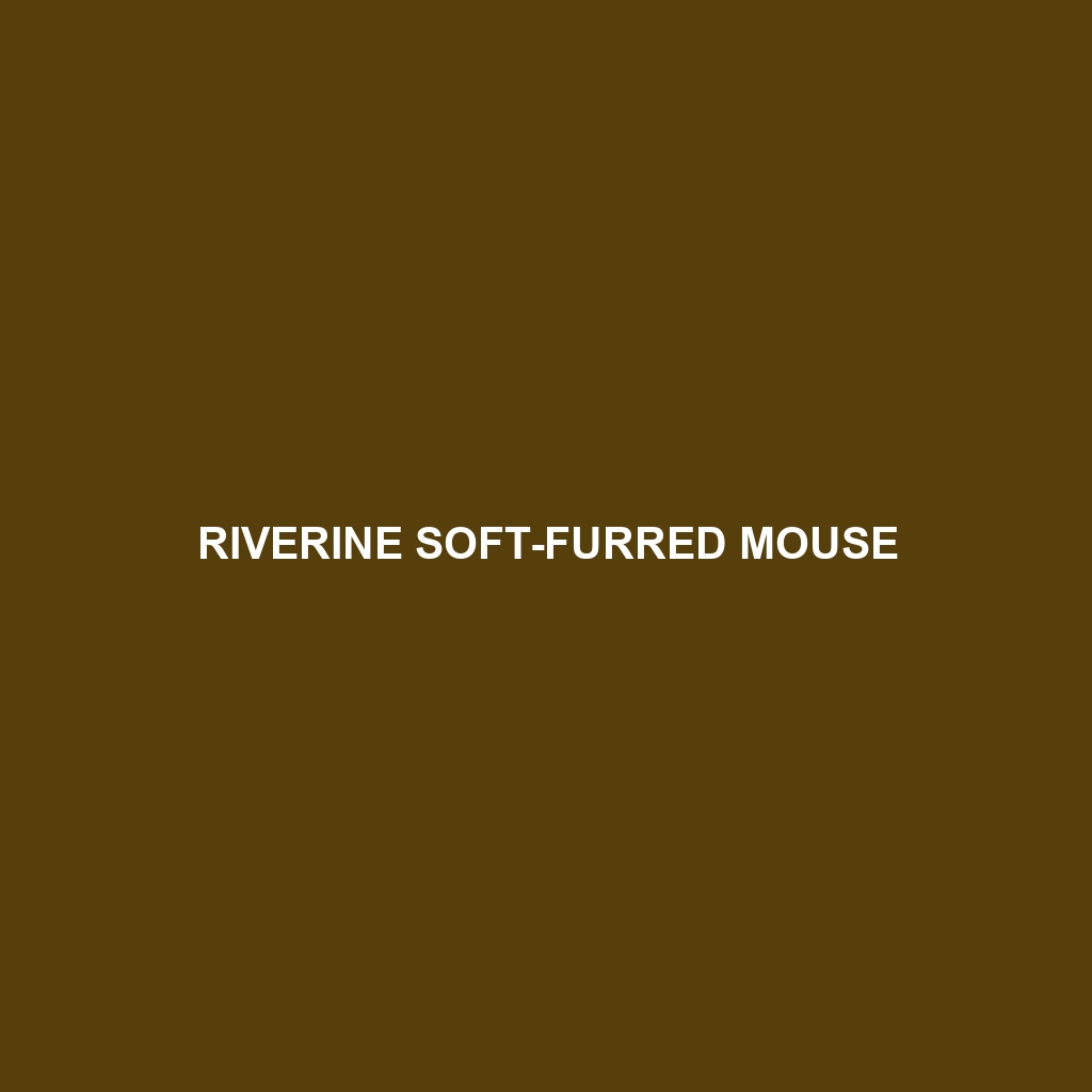 Riverine Soft-furred Mouse