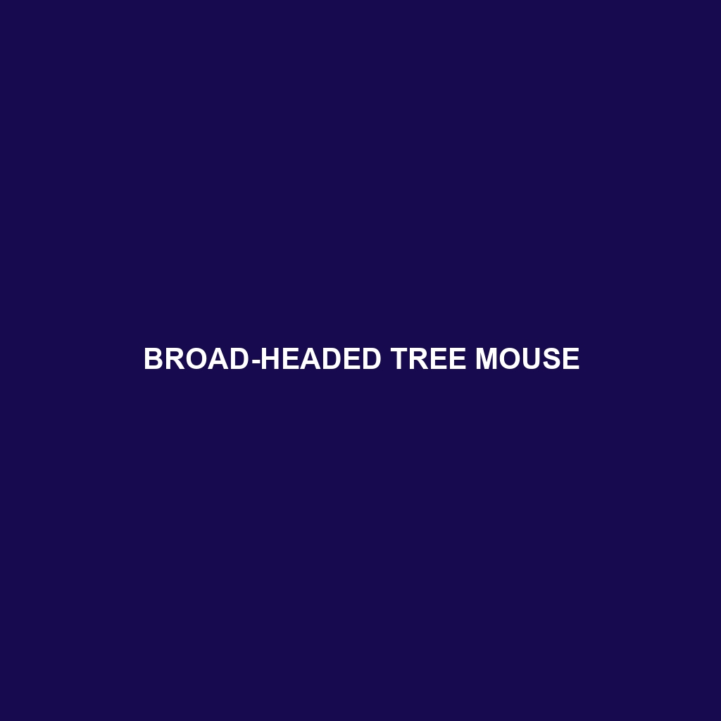 Broad-headed Tree Mouse