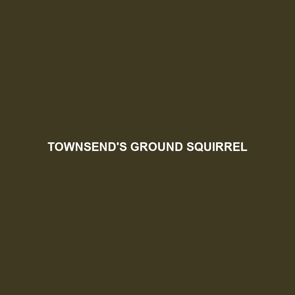 Townsend's Ground Squirrel