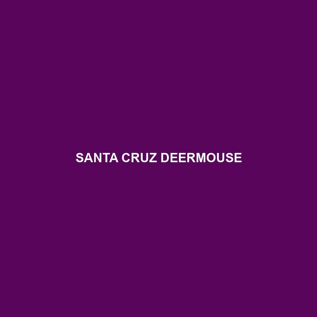 Santa Cruz Deermouse