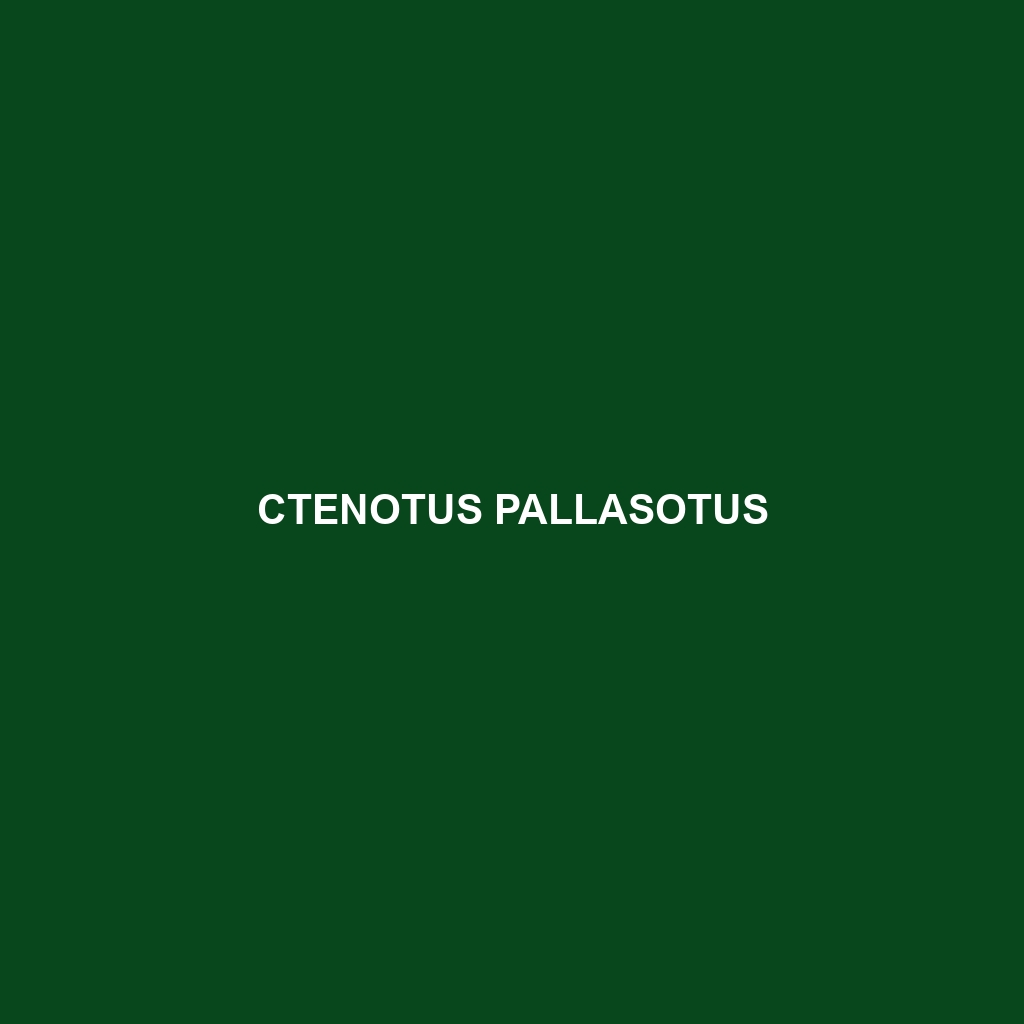 Ctenotus pallasotus