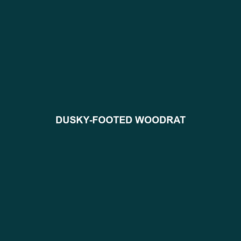 Dusky-footed Woodrat