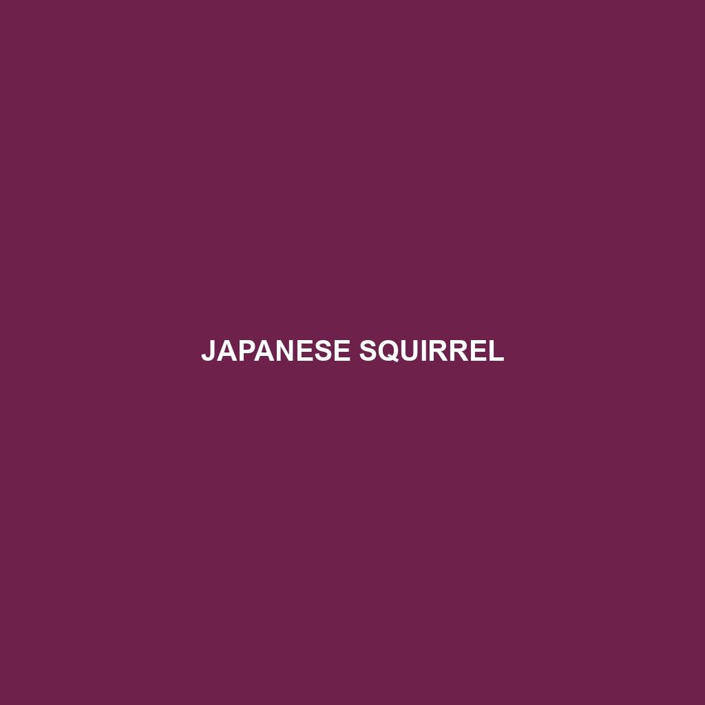 Japanese Squirrel