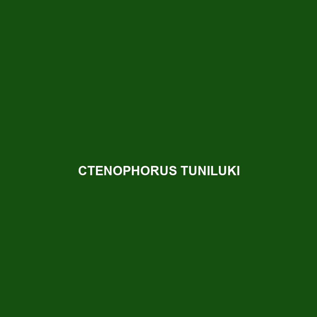 Ctenophorus tjantjalka