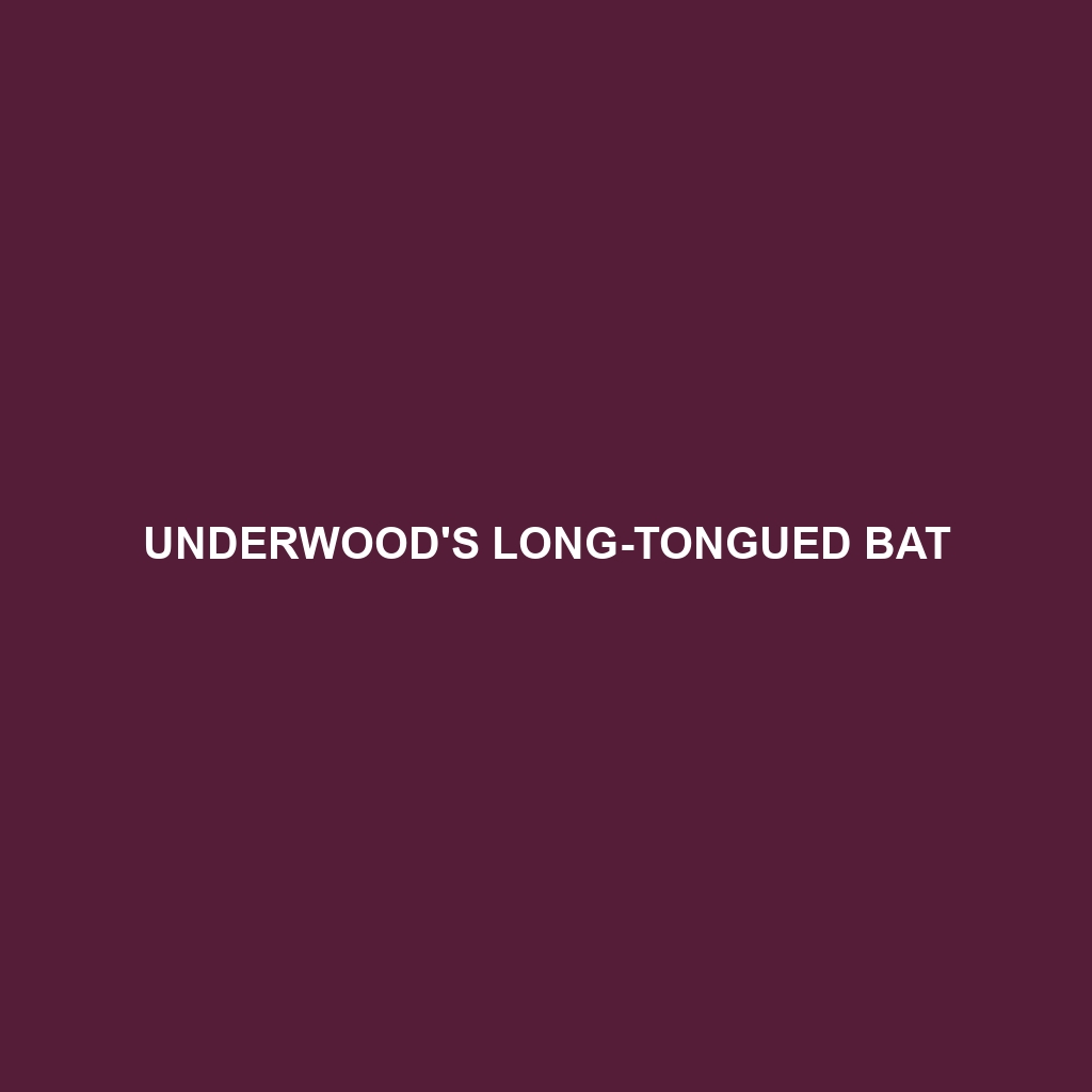 Underwood's Long-tongued Bat