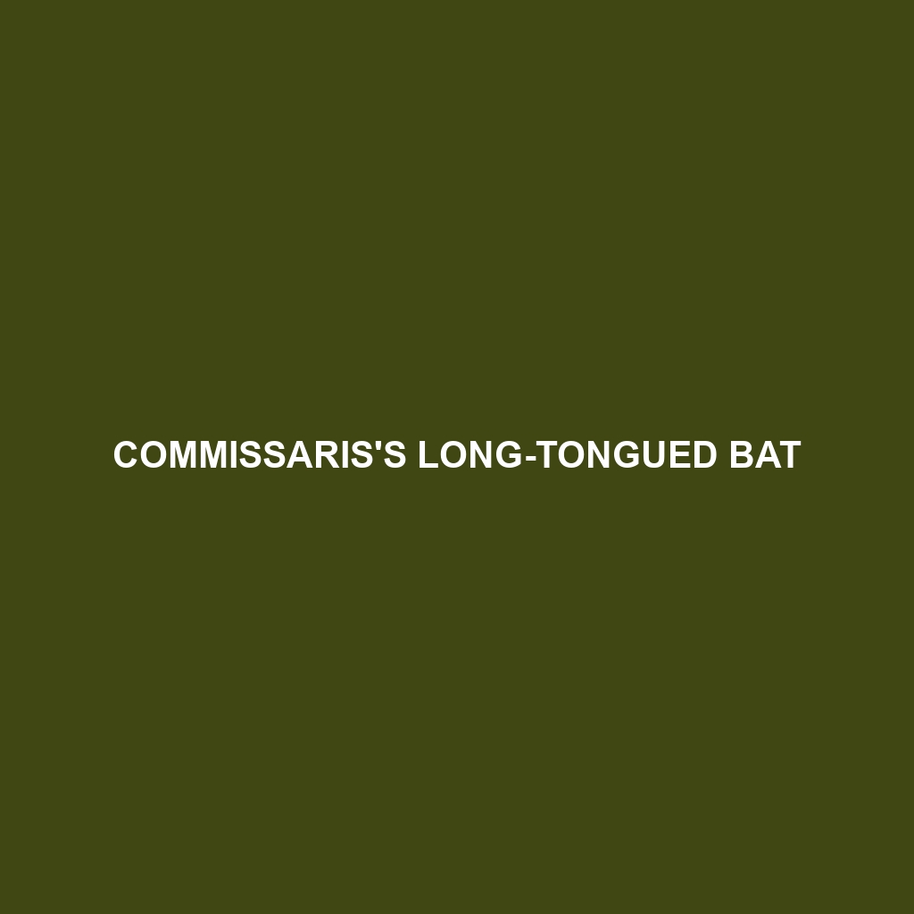 Commissaris's Long-tongued Bat