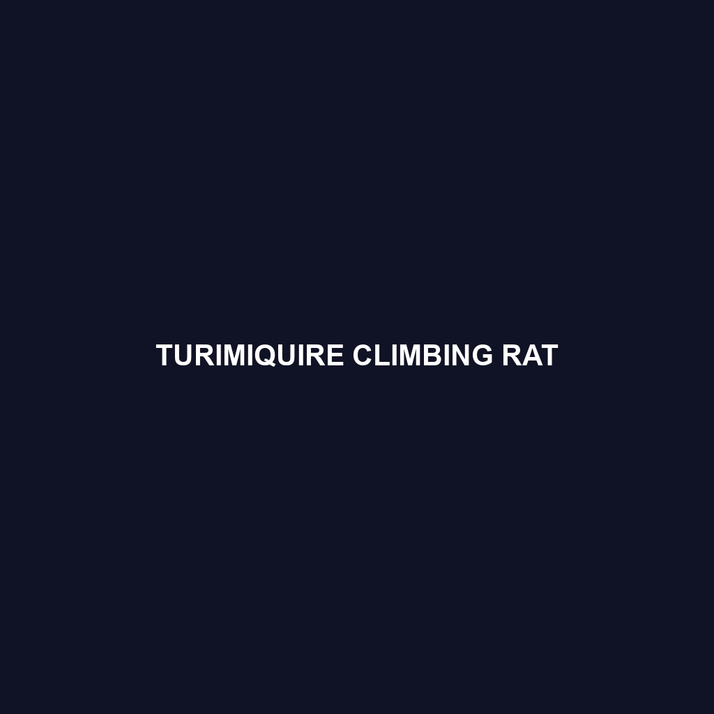 Turimiquire Climbing Rat