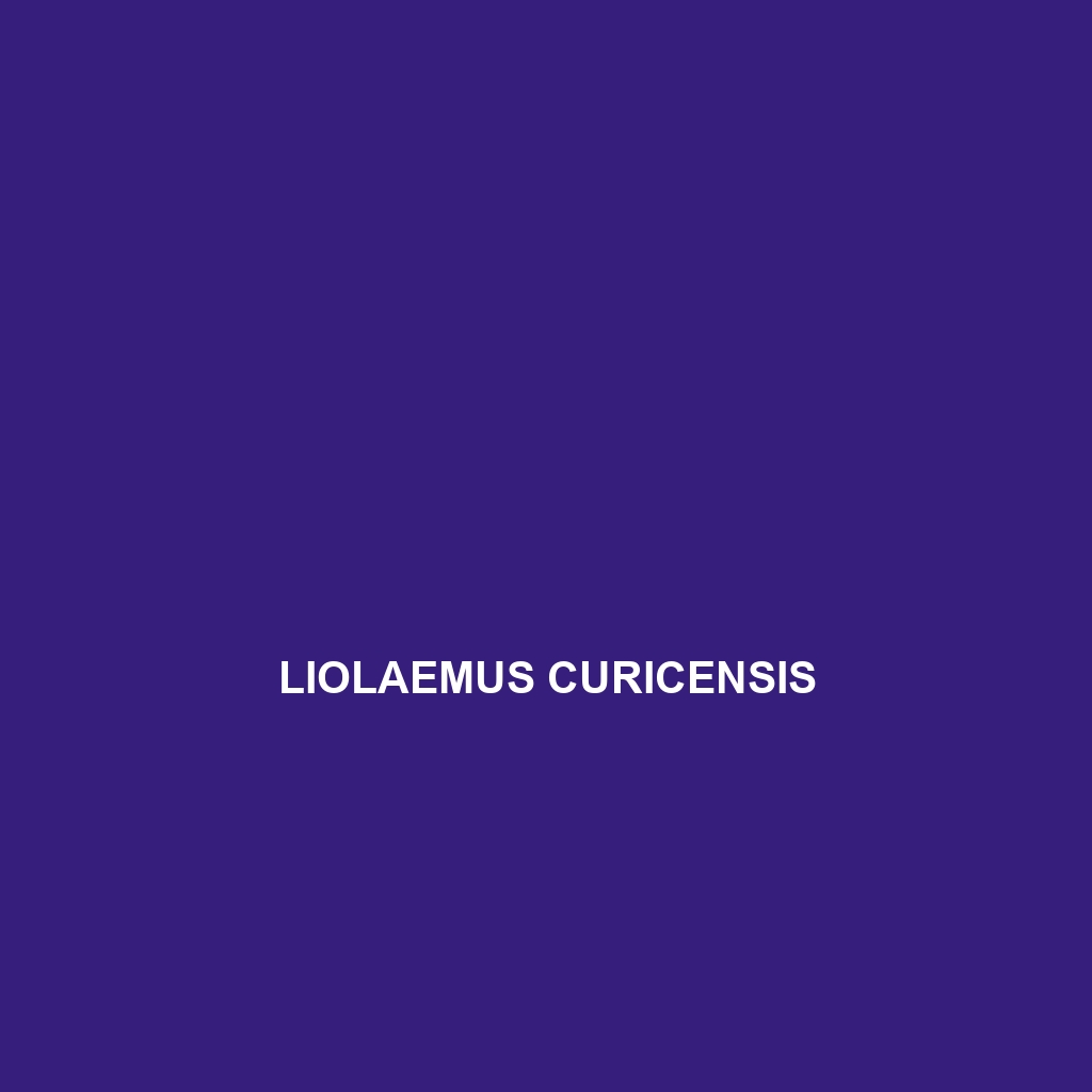 Liolaemus curicensis