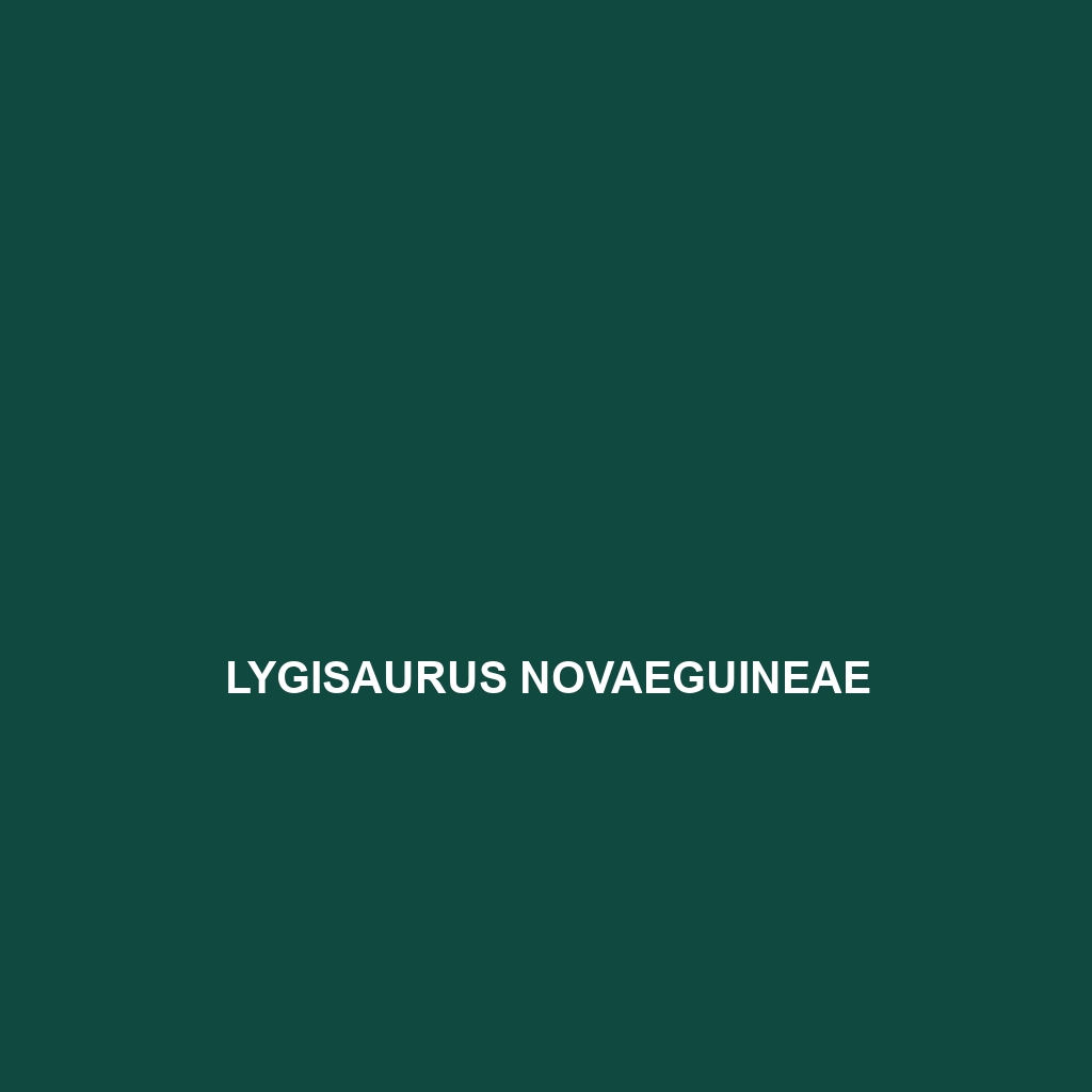 Lygisaurus novaeguineae