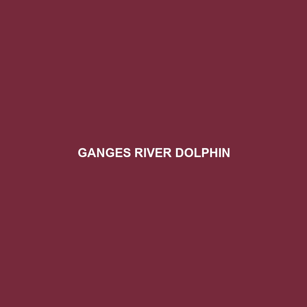 Ganges River Dolphin