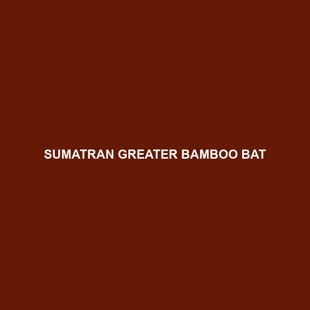 Sumatran Greater Bamboo Bat