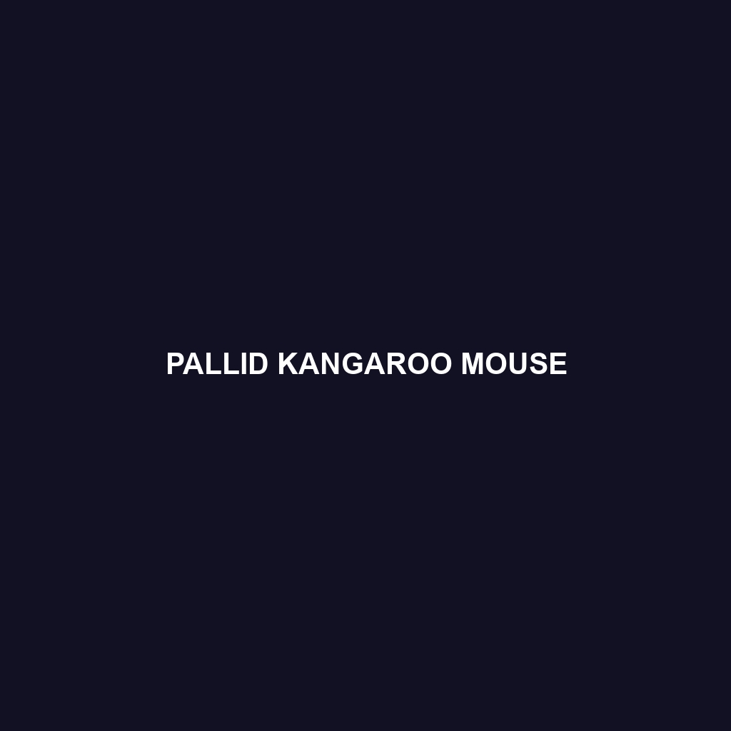 Pallid Kangaroo Mouse